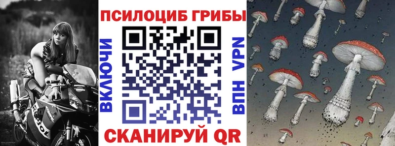 Галлюциногенные грибы Psilocybe Нефтеюганск